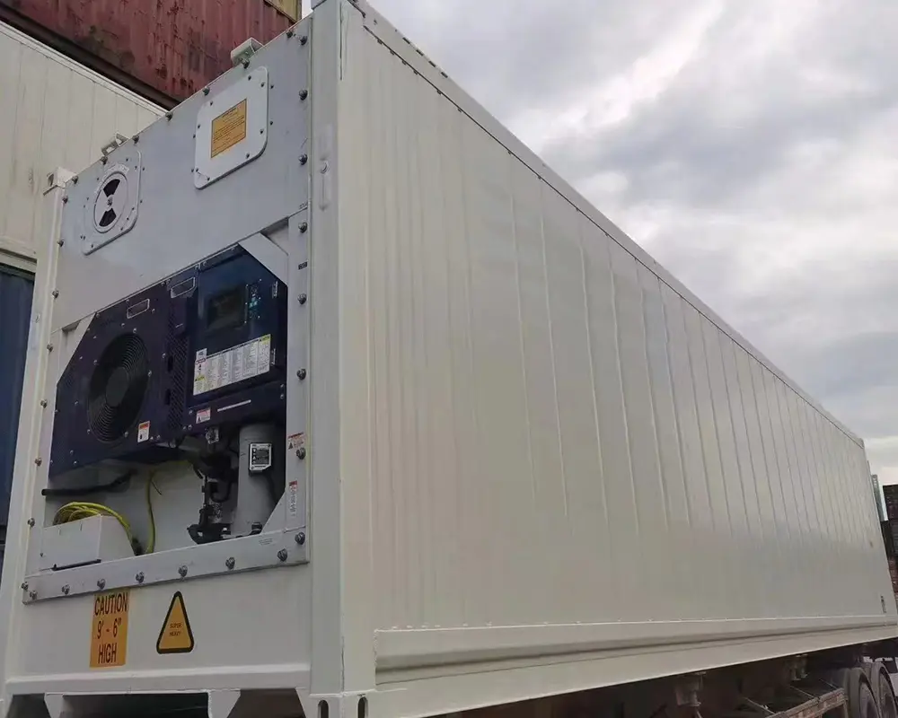Reefer Container for business
